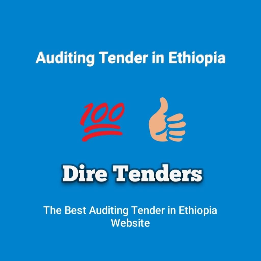 Auditing-Tender-in-Ethiopia | DireTenders